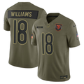 Men's Chicago Bears Caleb Williams Nike Olive 2025 Salute to Service Limited Jersey